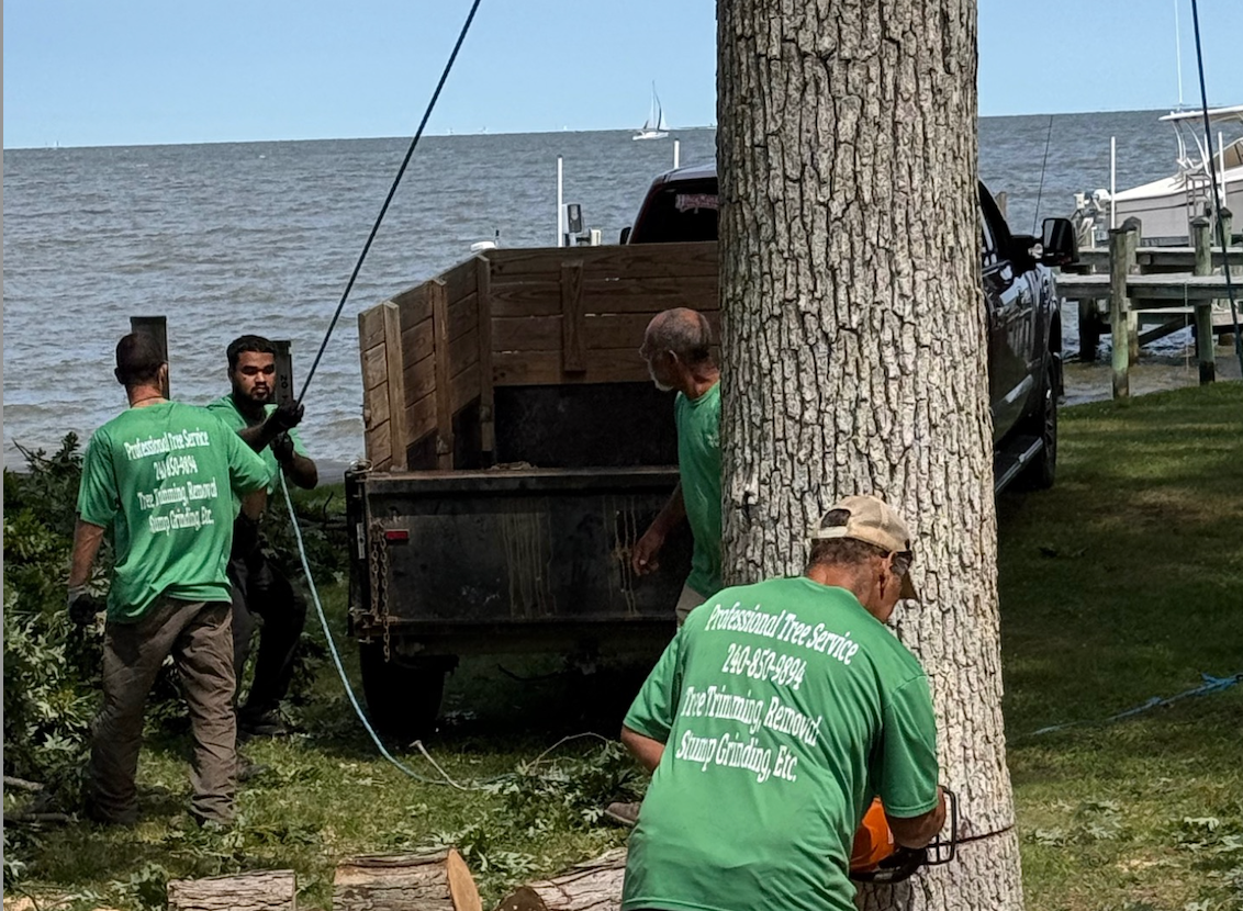 McCuller Professional Tree Service crew working at a waterfront property in Southern Maryland